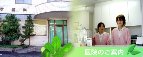 公式案内画像