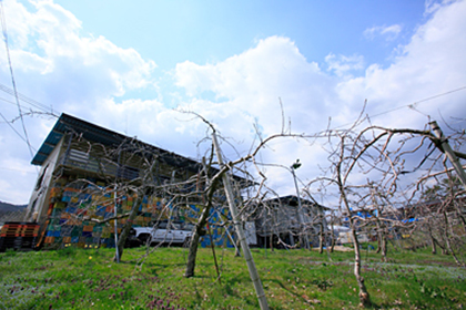 りんご畑と農園施設