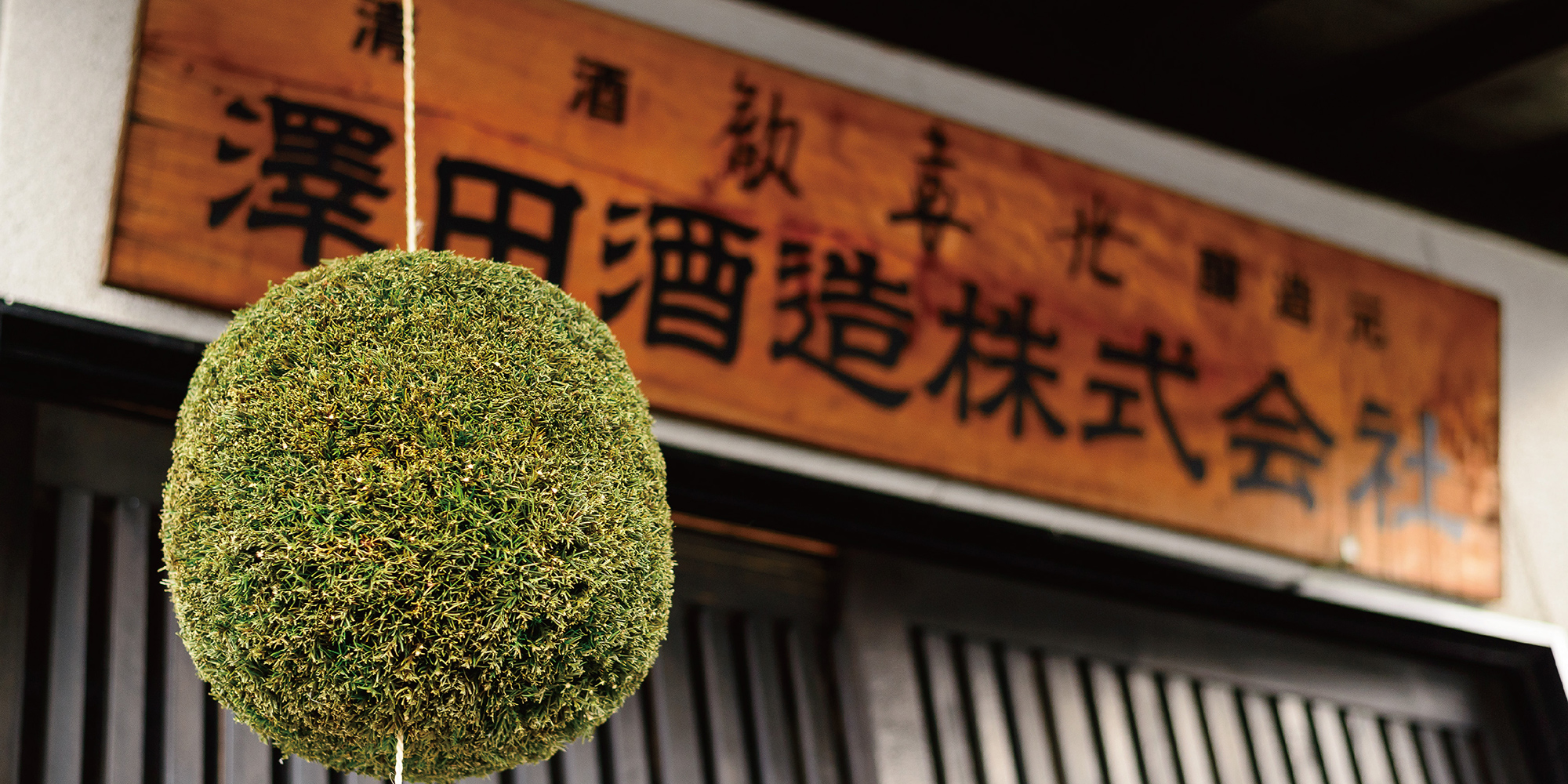 公式案内画像