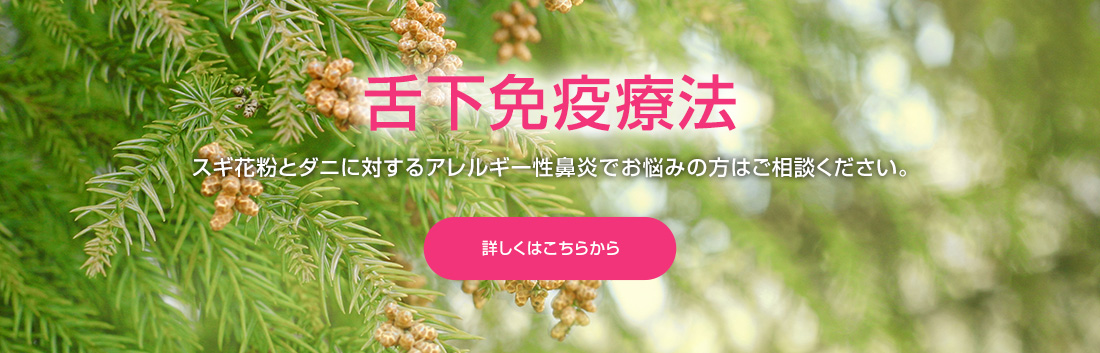 神崎耳鼻咽喉科医院 の写真