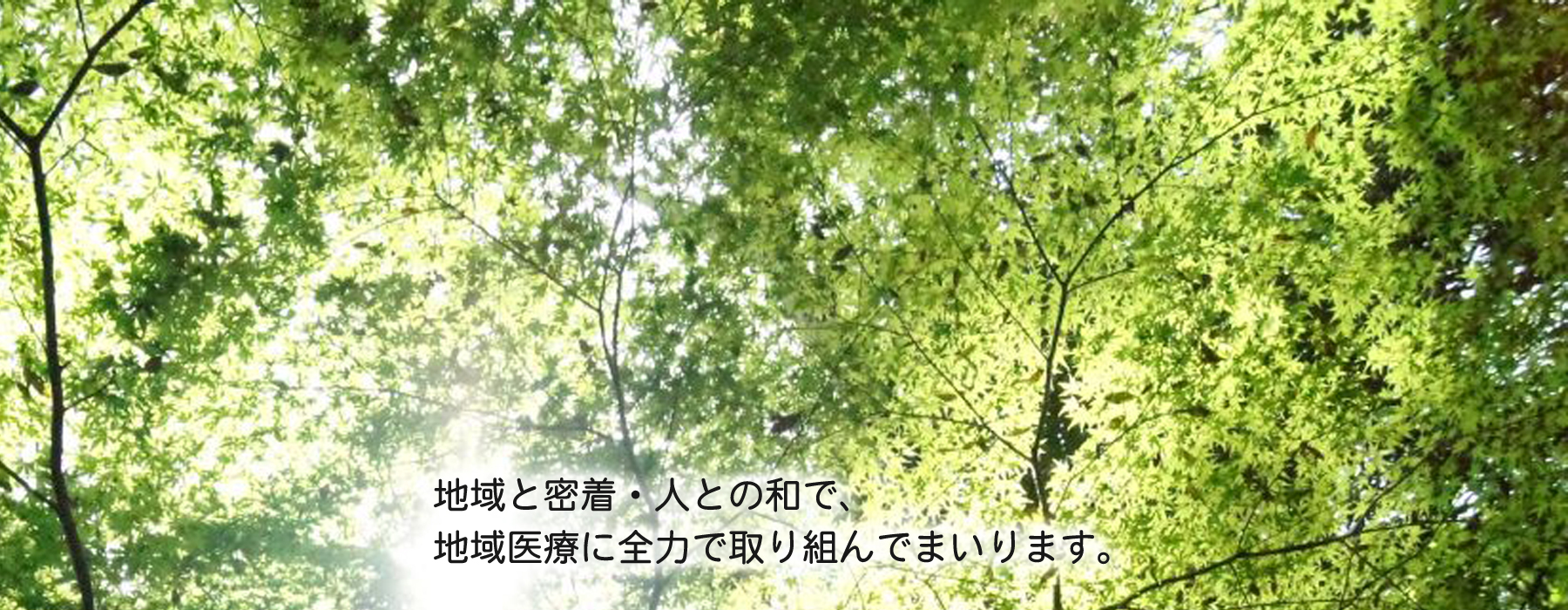 有限会社　加藤薬局　ぎおんの加藤薬局 の写真