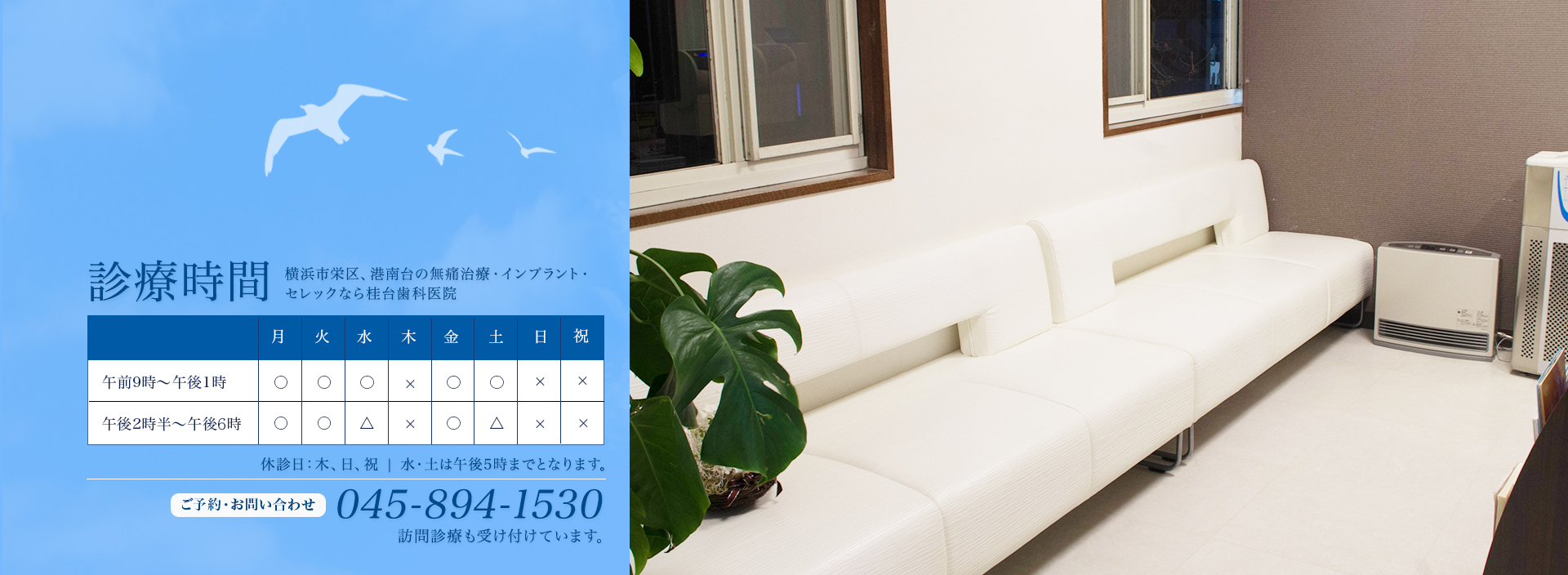 公式案内画像