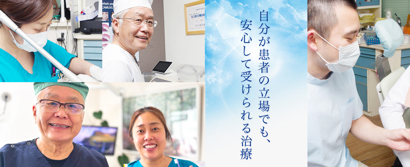 公式案内画像