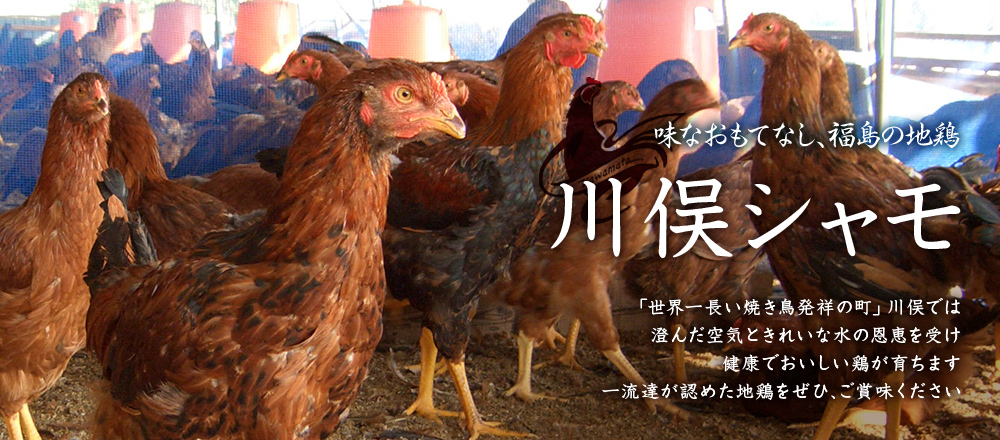 川俣シャモ振興会 の写真