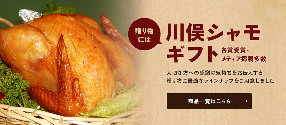 公式案内画像