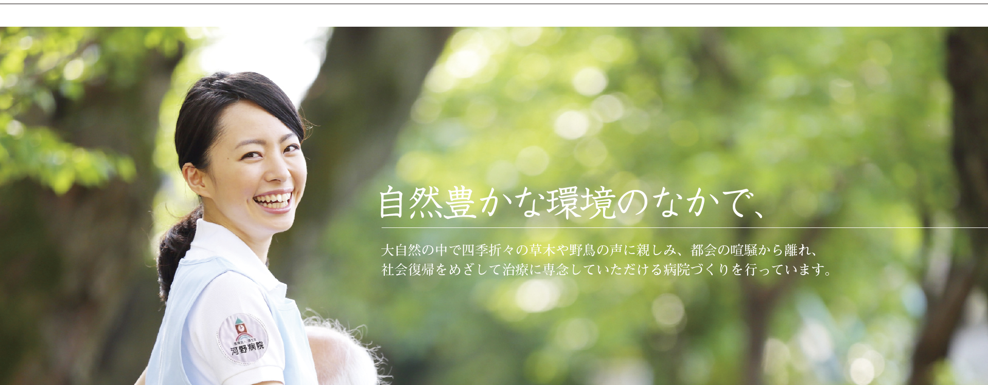 公式案内画像