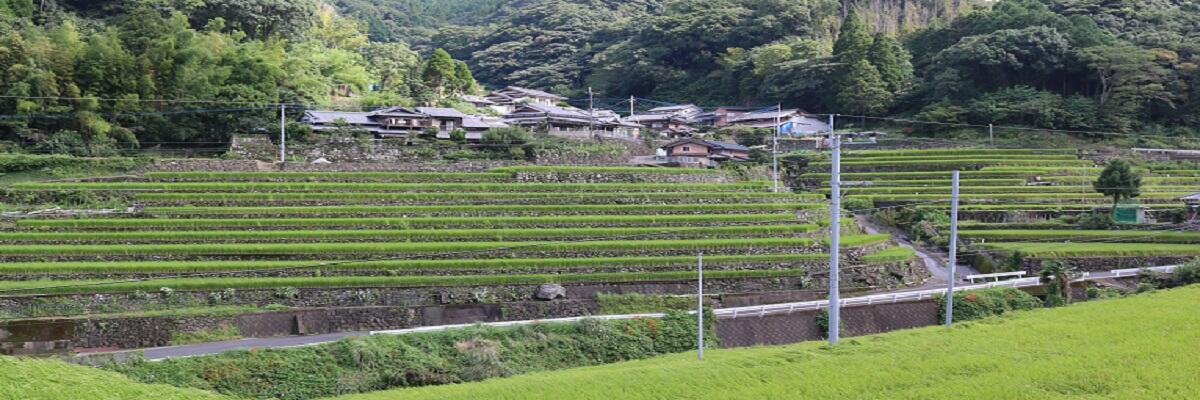 川棚町 の写真