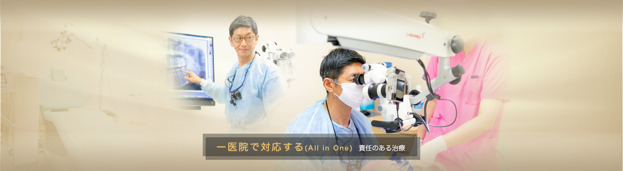 公式案内画像