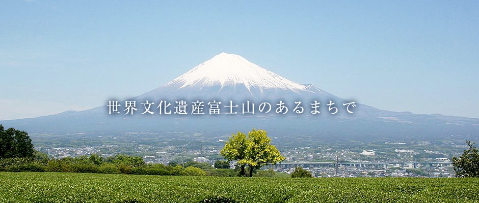 公式案内画像