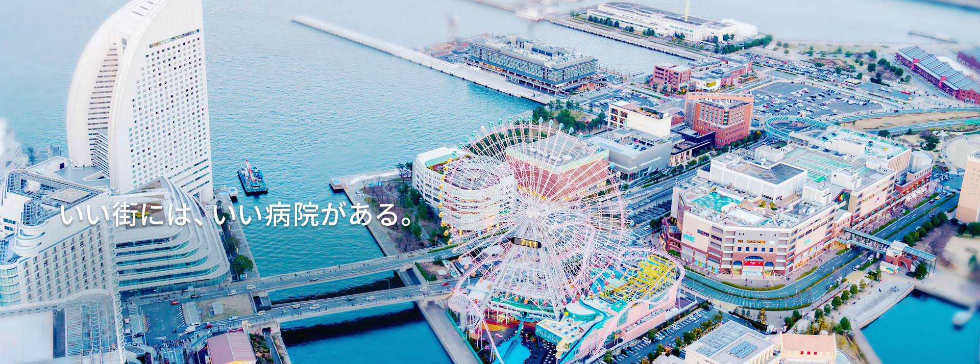 公式案内画像