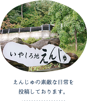 公式案内画像
