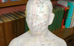 金龍堂薬局 の写真