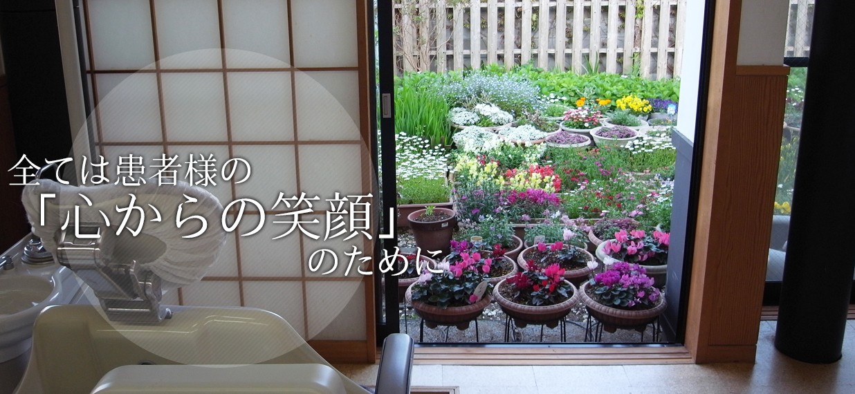 公式案内画像