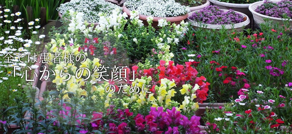 公式案内画像