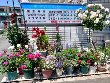 公式案内画像