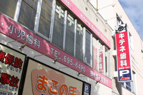 公式案内画像