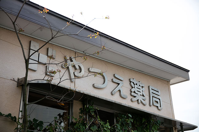 公式案内画像
