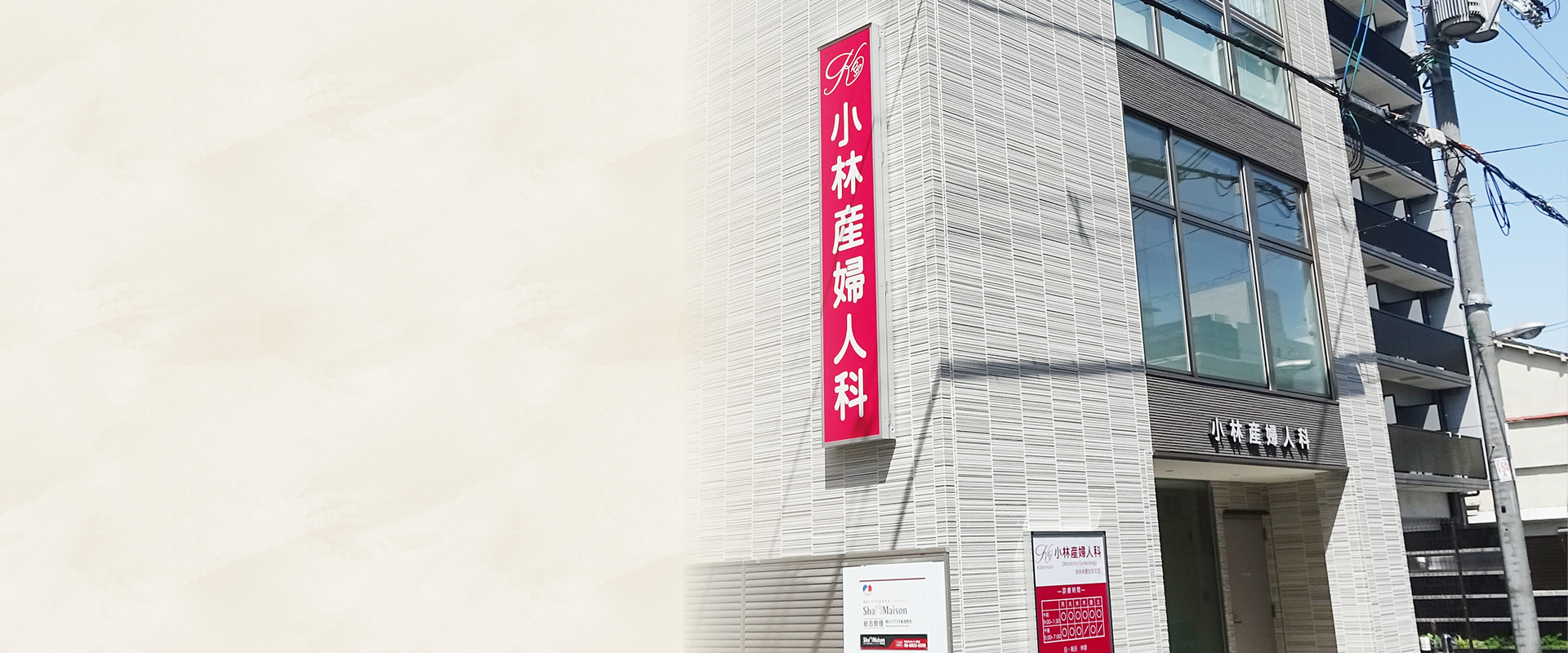 公式案内画像