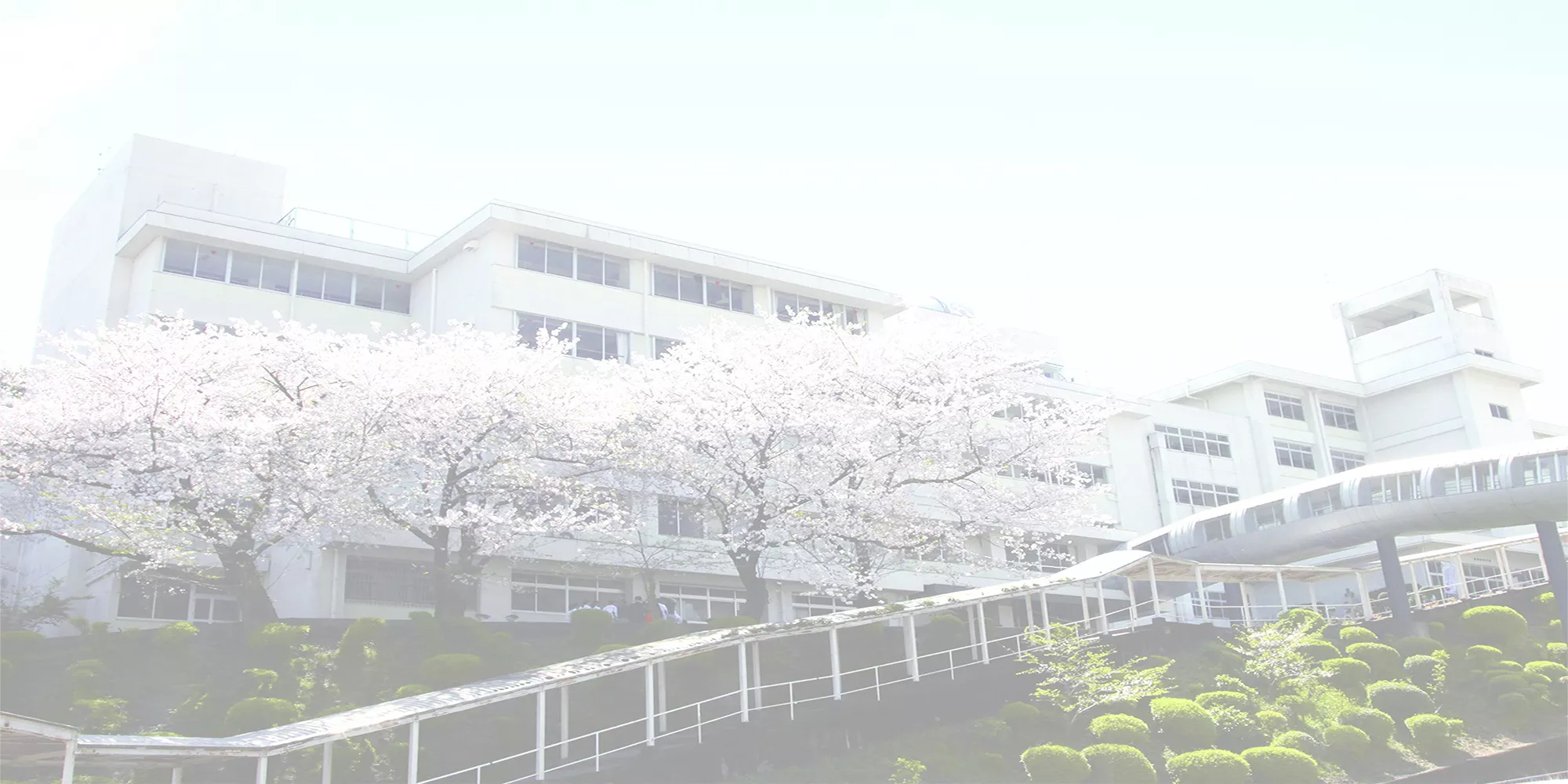 学校法人高知学園 の写真