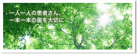 小高歯科医院からのお知らせ の写真