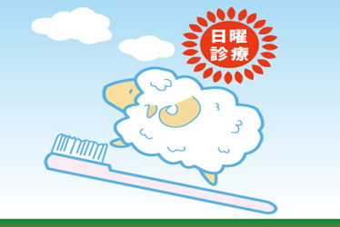 公式案内画像