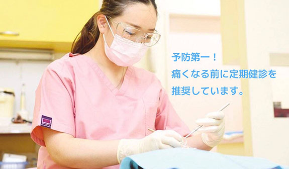 公式案内画像