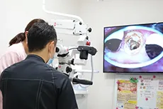 公式案内画像