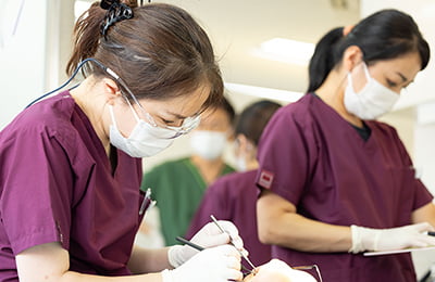 公式案内画像