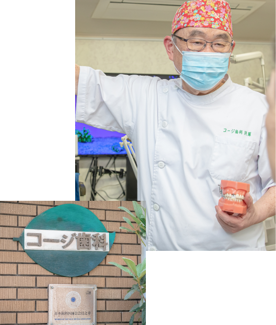 公式案内画像