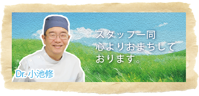 公式案内画像