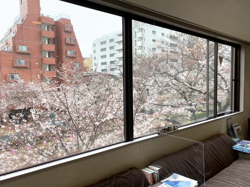 小石川矯正歯科 の写真