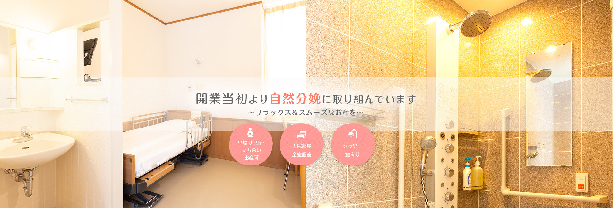 公式案内画像