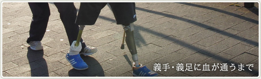 公式案内画像