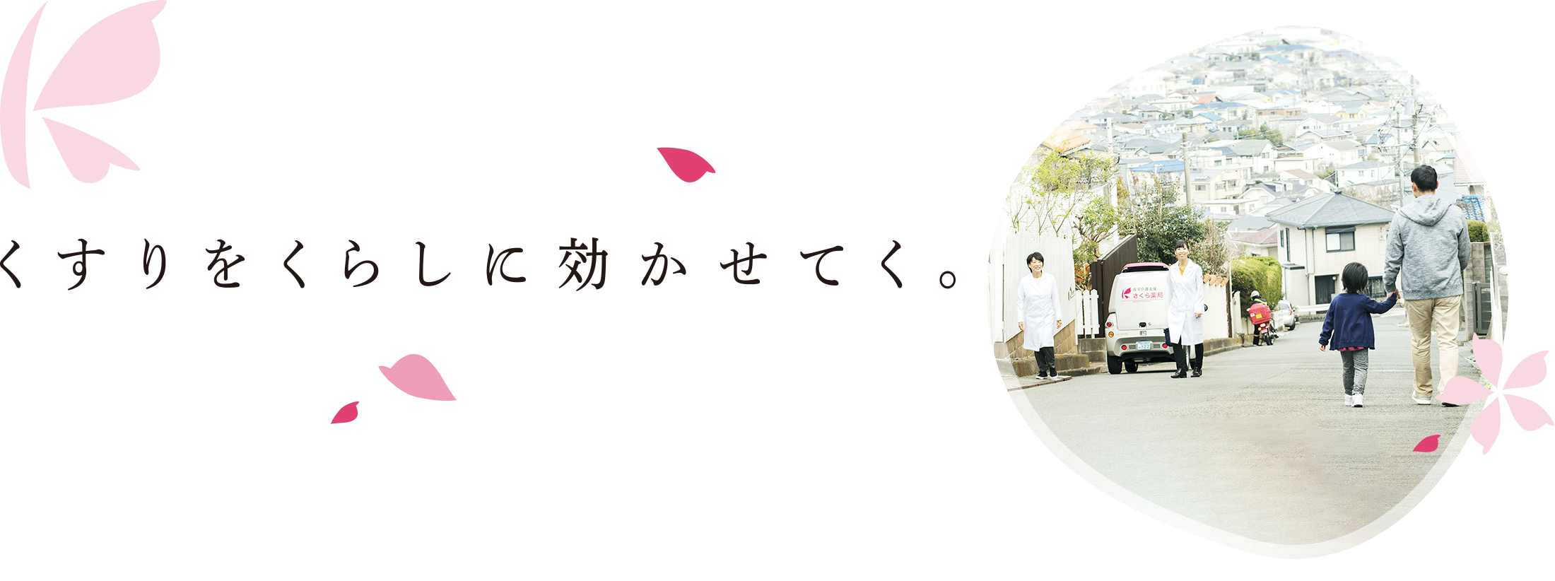 公式案内画像