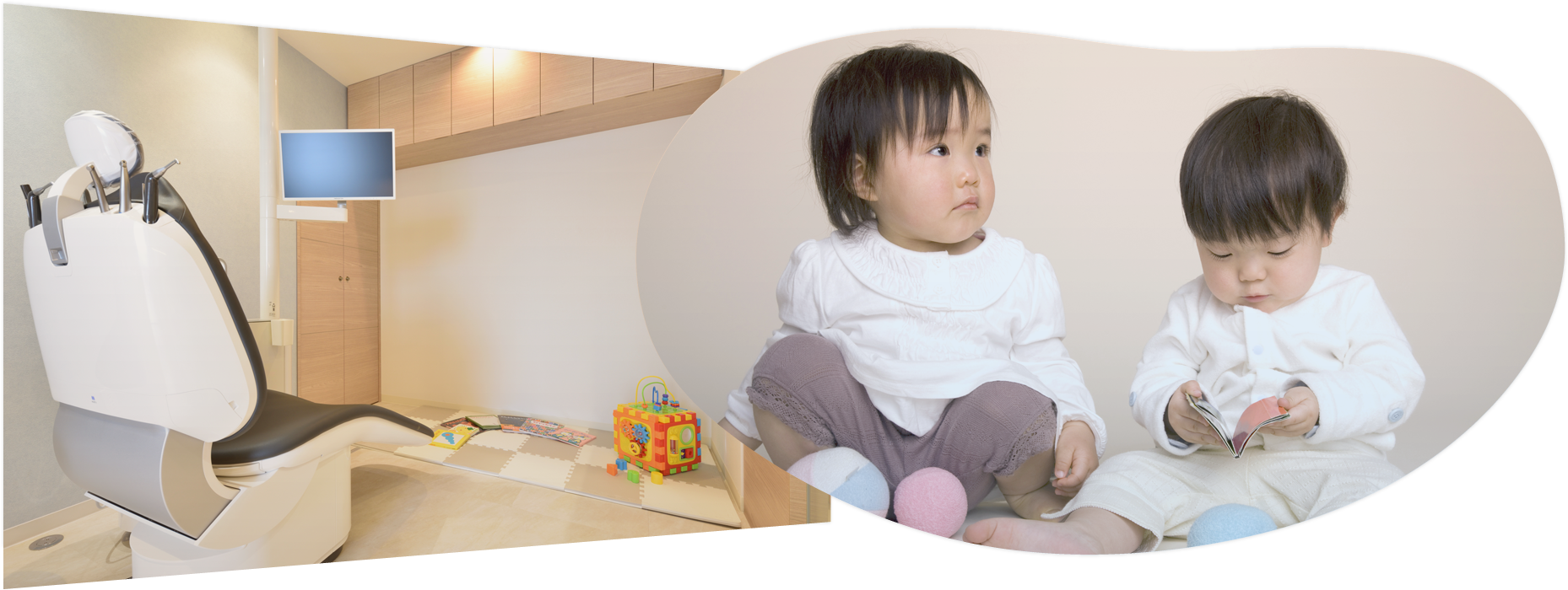 公式案内画像