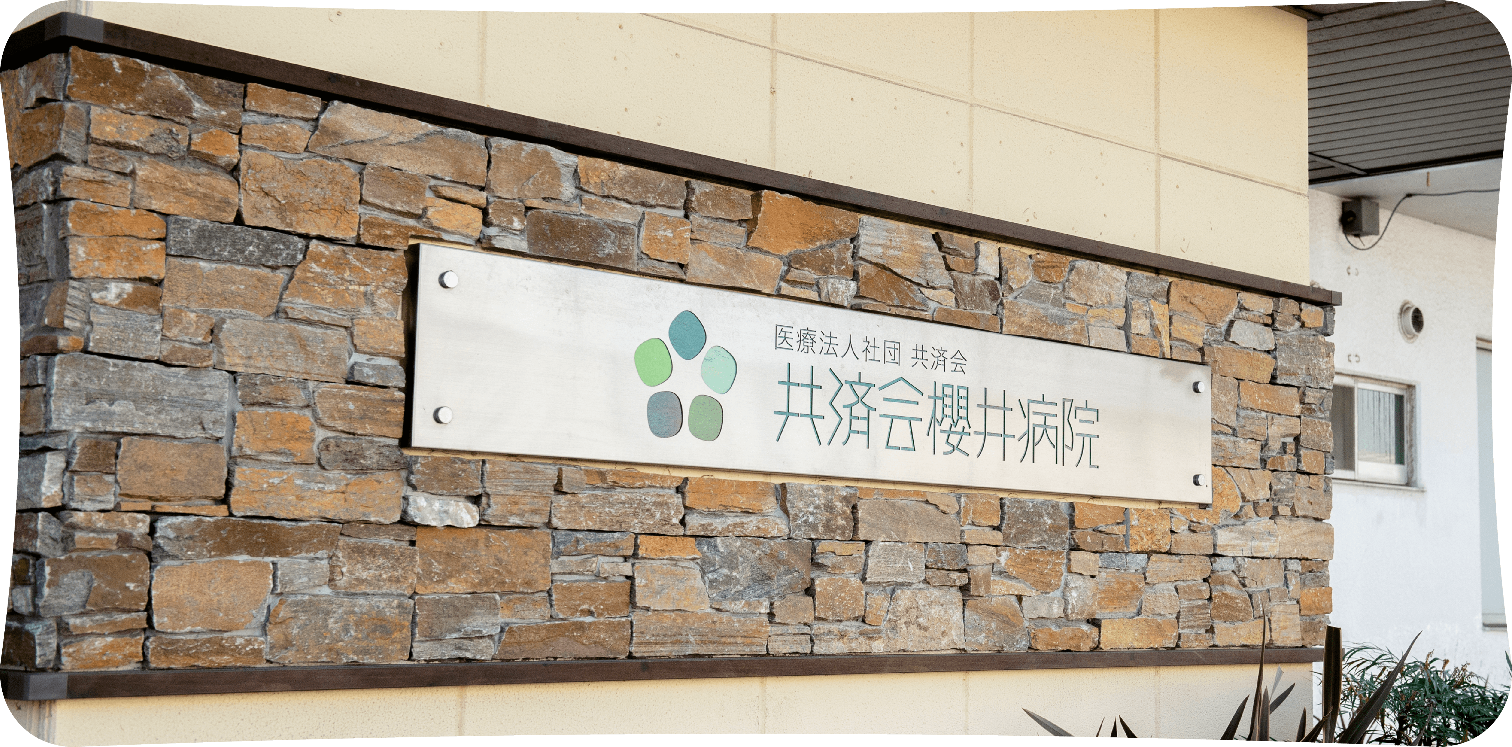 公式代表画像