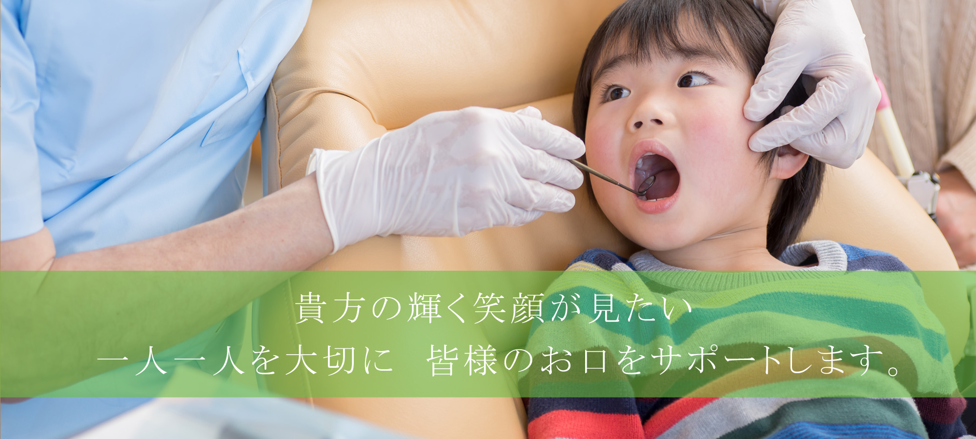 公式案内画像