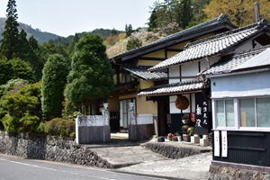 鯨波 の写真