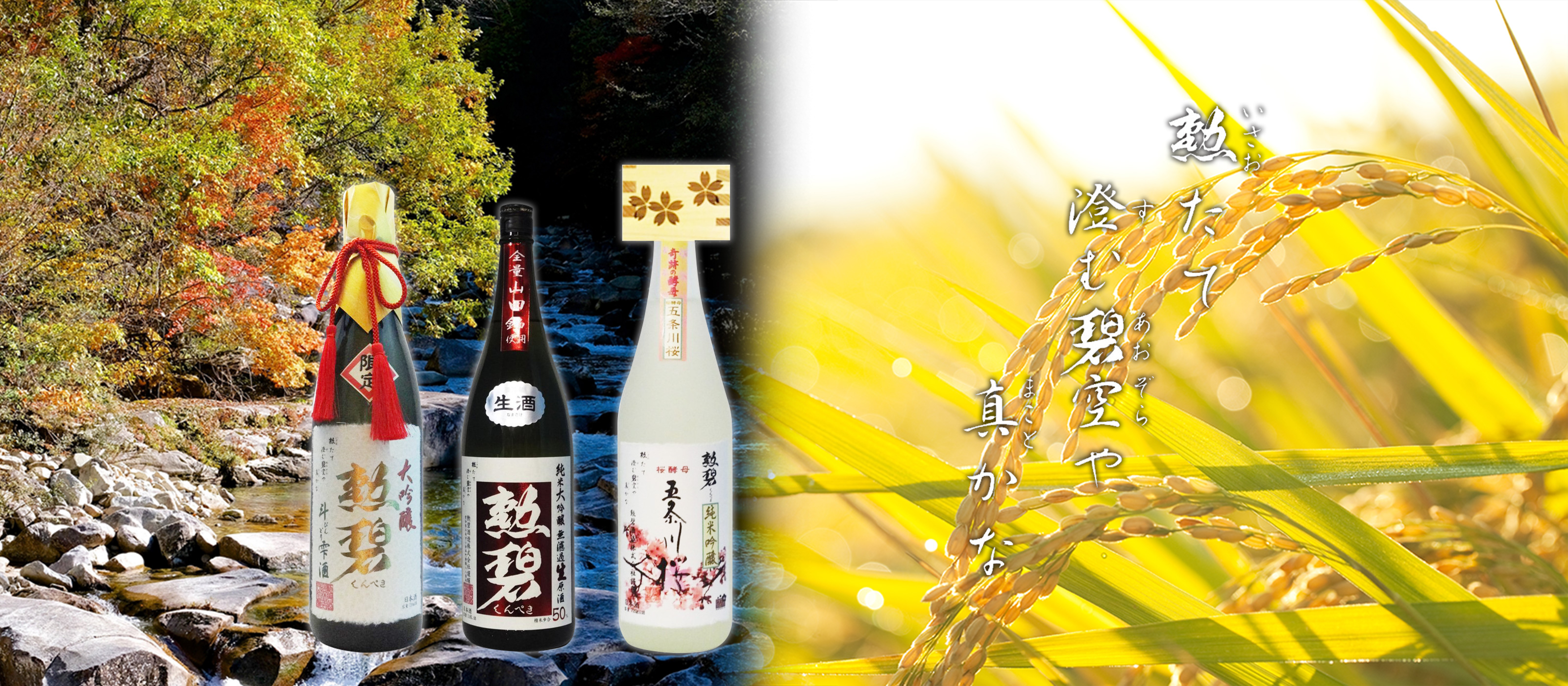 勲碧酒造 の写真