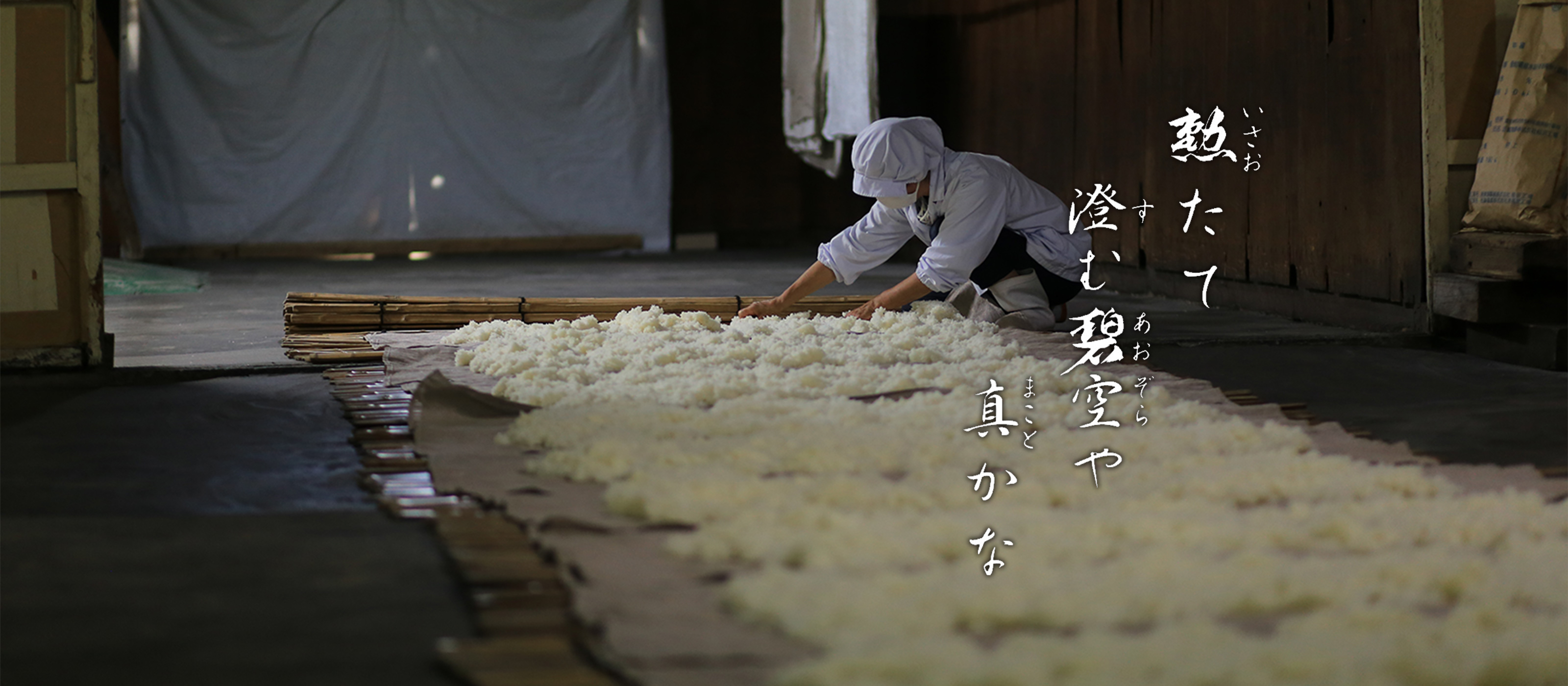 公式案内画像