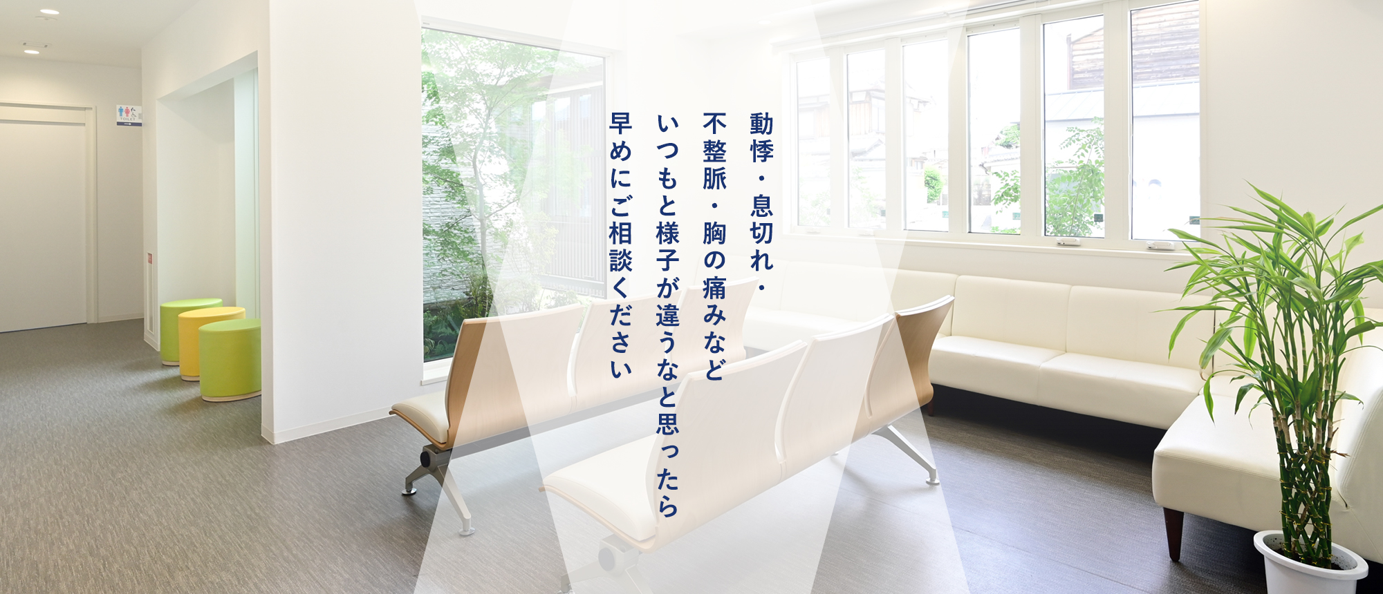 公式案内画像
