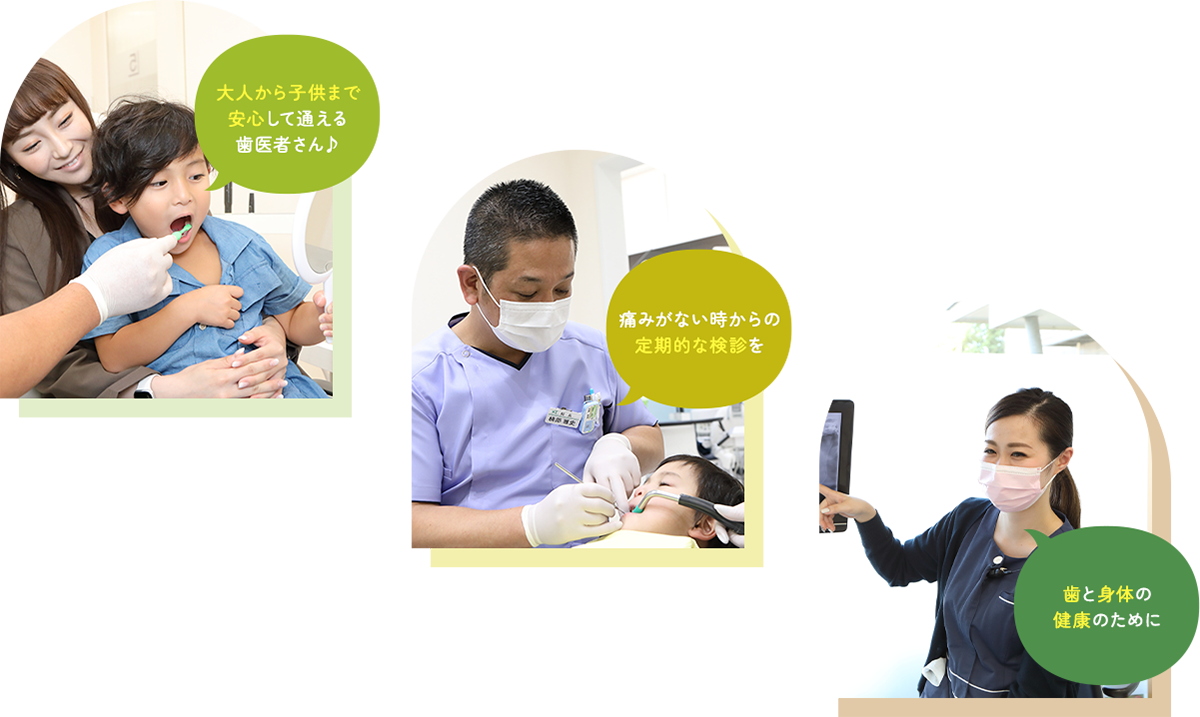 公式案内画像
