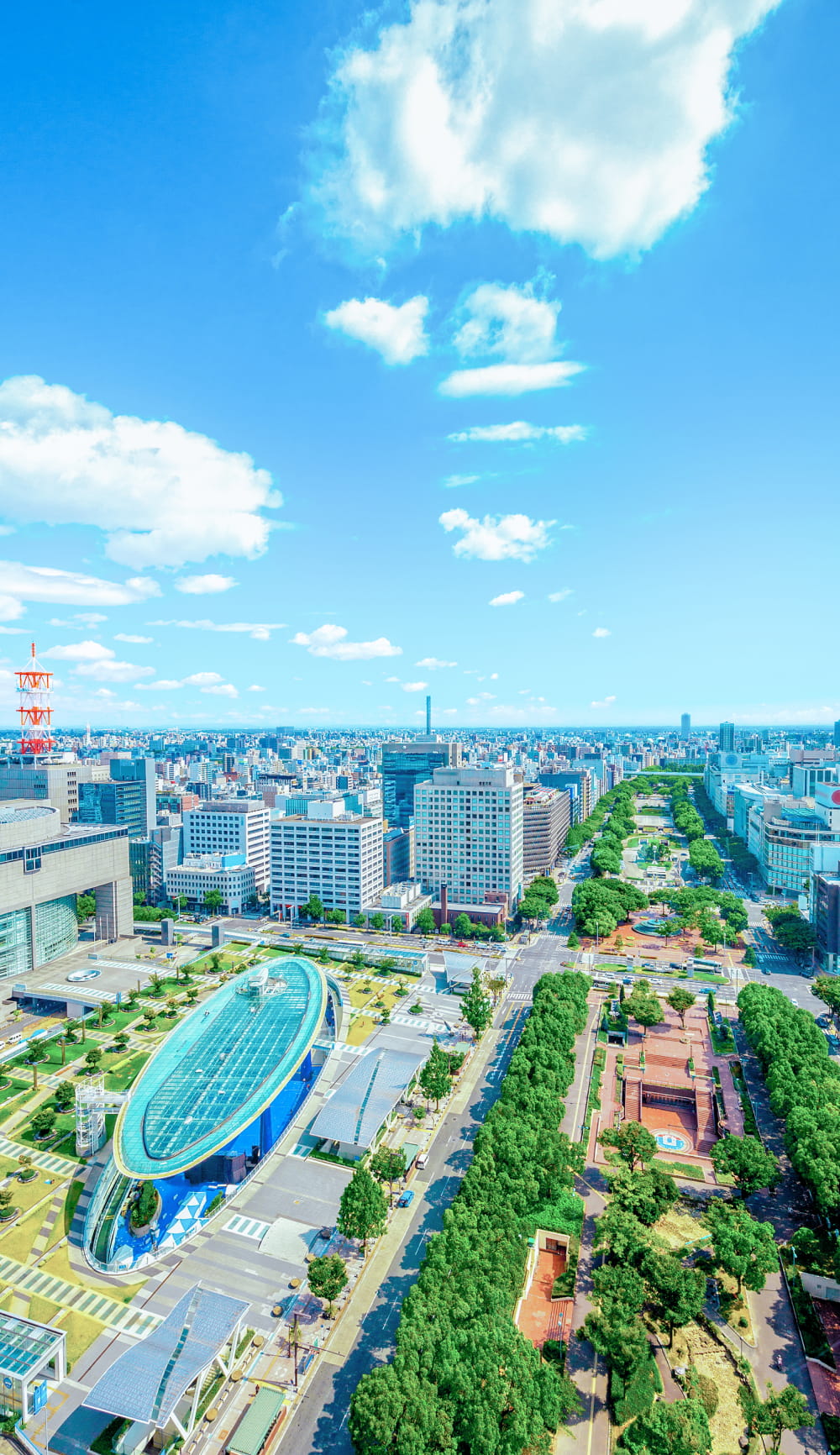 公式案内画像