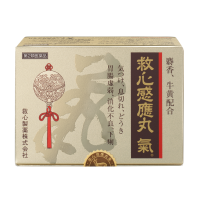 公式案内画像