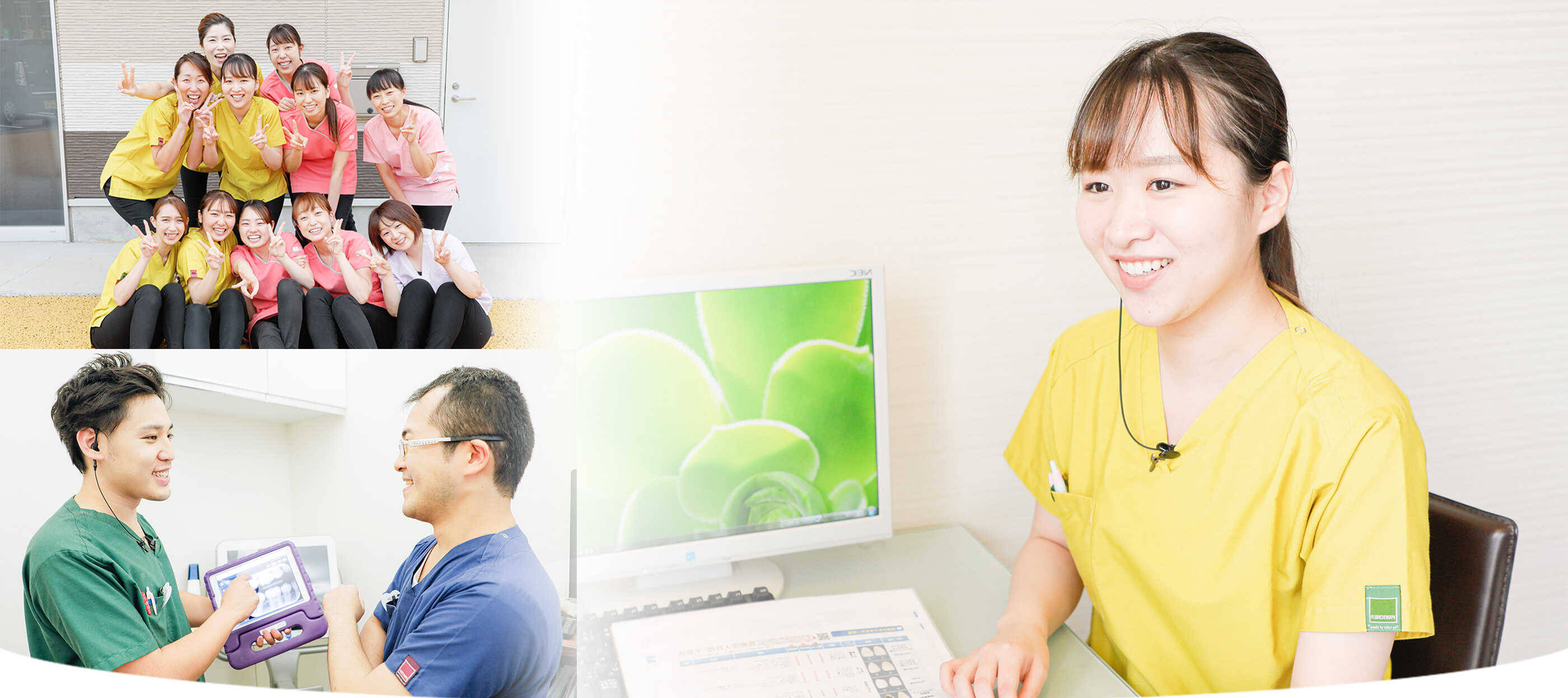 公式案内画像