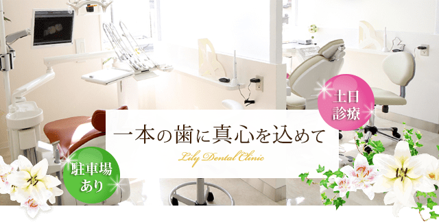 公式案内画像