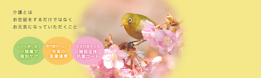 公式案内画像
