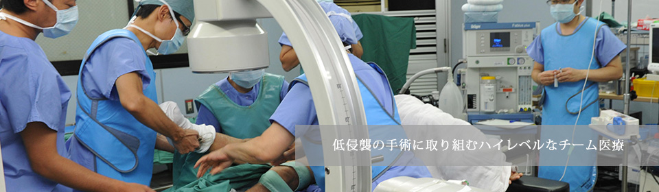 公式案内画像