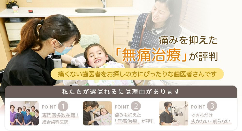 公式案内画像