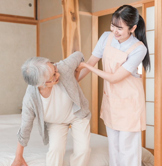 公式案内画像